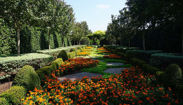 Garden in Dallas