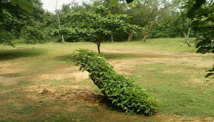 kabalakonda park view