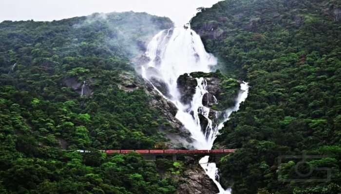 Dudhsagar Waterfalls Trek Offbeat Goa