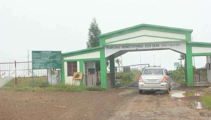 Eco Park