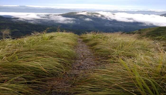 Take Heritage Walks Around Reiek