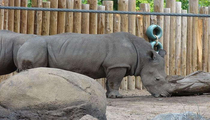 Hogle Zoo