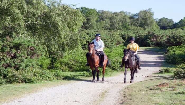 Adventurous Horse Riding Tour