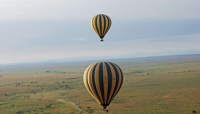 Hot air balloon