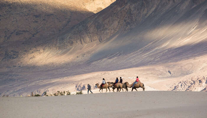 Hunder sand dunes