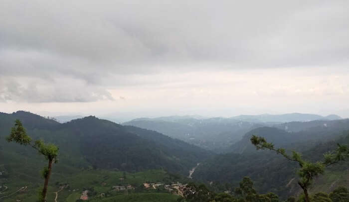 mesmerizing views of Munnar