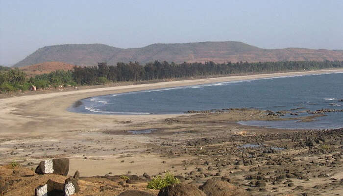 Kondivali Beach