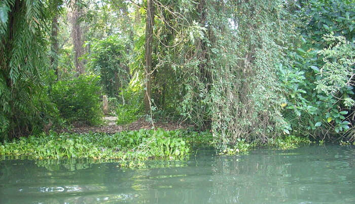 Bird Sanctuary in Kottayam