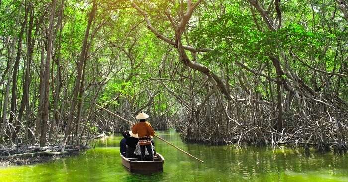 Mangrove Creek: Visit This Hidden Gem In Andaman For A Fun-Filled Vacay