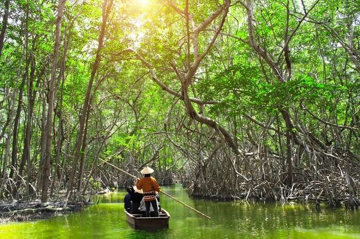 Mangrove creek, Andaman