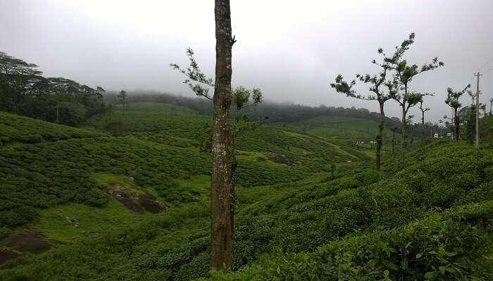 one of the attractive places to visit in Monsoon in India