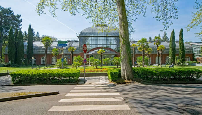 Palm Garden in Frankfurt