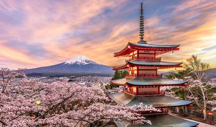 8 Stunning Places Visit In Tokyo In Summer For Your Japan Tour 2022