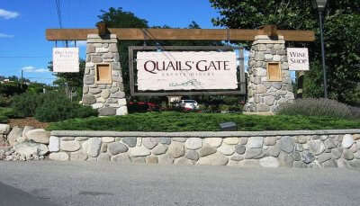 Quails’ Gate Winery: Take A Tour Tasting Delectable Wine!