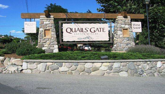 Quails’ Gate Winery: Take A Tour Tasting Delectable Wine!