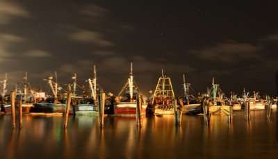 Royapuram Fishing Harbour