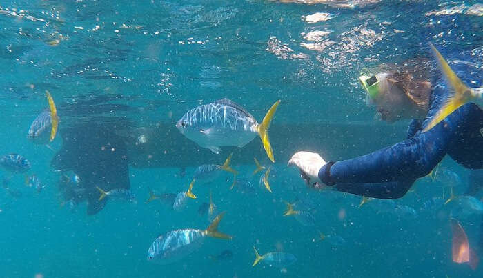 Snorkeling Experience in Phuket
