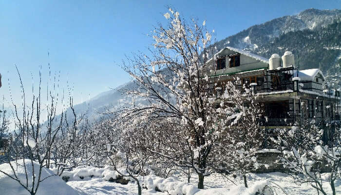 Snowfall in Manali