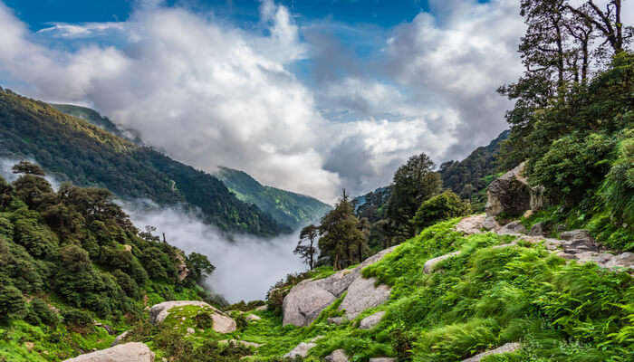 13 Amazing Hill Stations Near Parwanoo That You Must Visit To Destress!