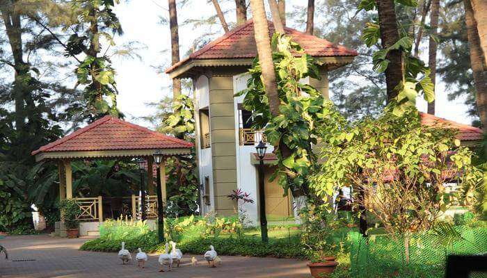 10 Quixotic Resorts In Kolad That Offer A Homelike Experience In A Quaint Village
