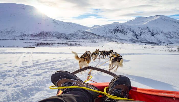 Awesome Things To Do In Tromso
