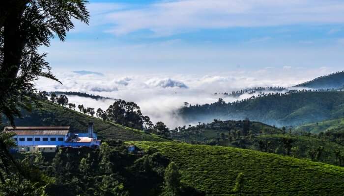 Coonoor