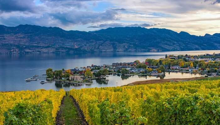 9 Places To Visit In Kelowna Do Not Miss To Explore These Places