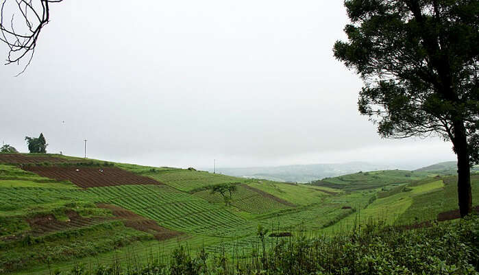 wiliamnagar meghalaya