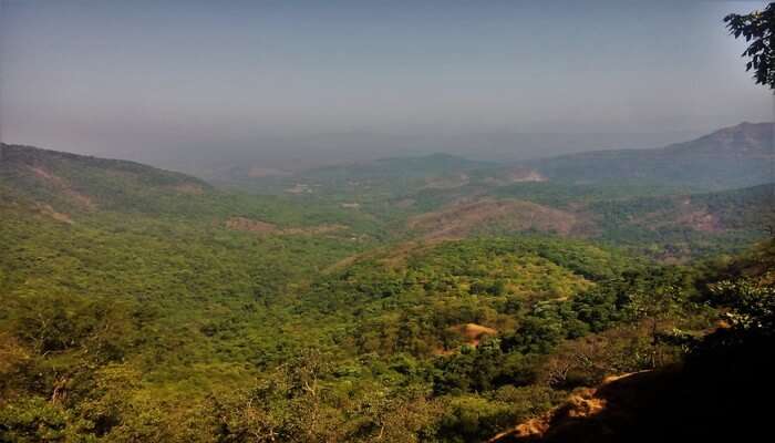 Mountains View
