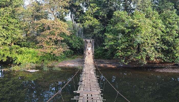 Wildlife Sanctuary