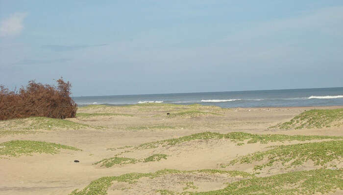 A picturesque view of Astaranga beach counted among one of the best places to visit in Puri