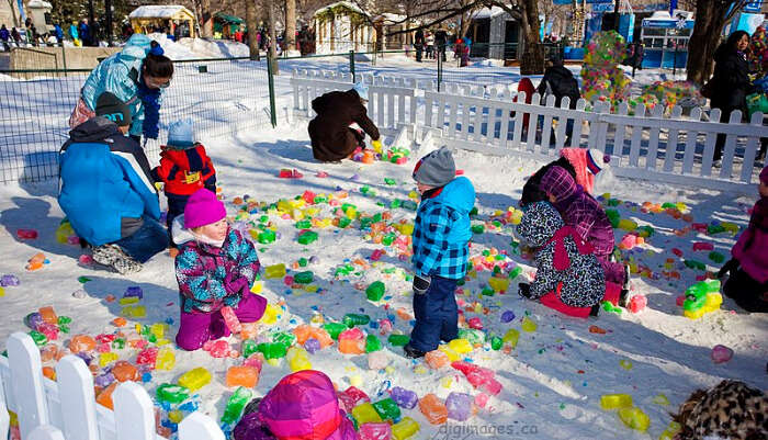 Celebrate Winterlude Festival in Ottwa