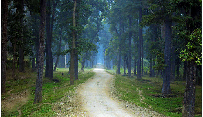 Bardia National Park