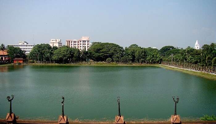 serene ambiance