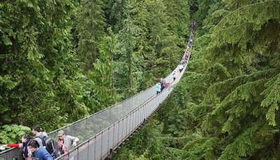 An enchanting view of Capilano Suspension Bridge, one of the best places to visit in Canada