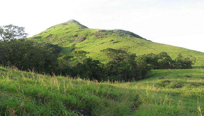Chembra Peak