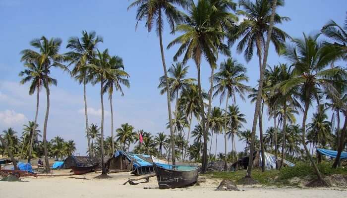 Colva Beach