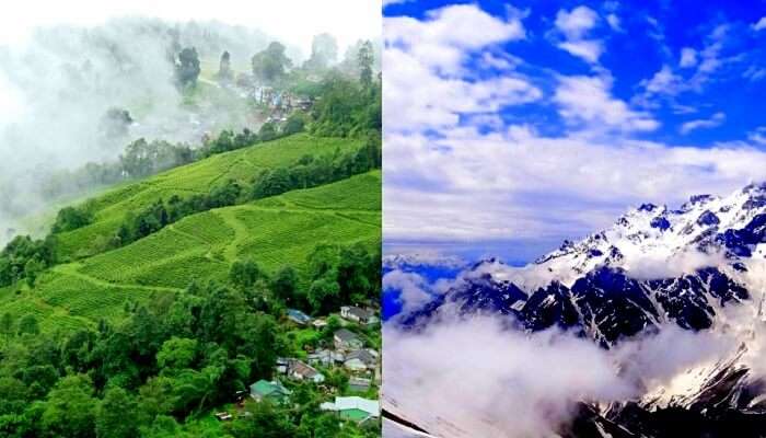 Darjeeling Vs Manali