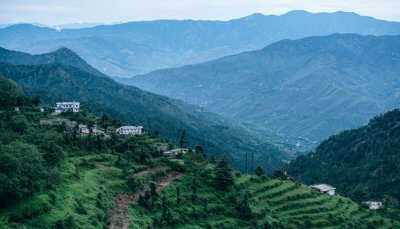 Famous Cottages In Dhanaulti