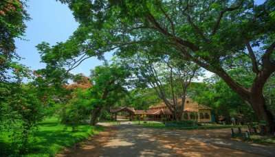 Famous Cottages In Kabini