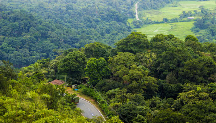 Things to do in Coorg,