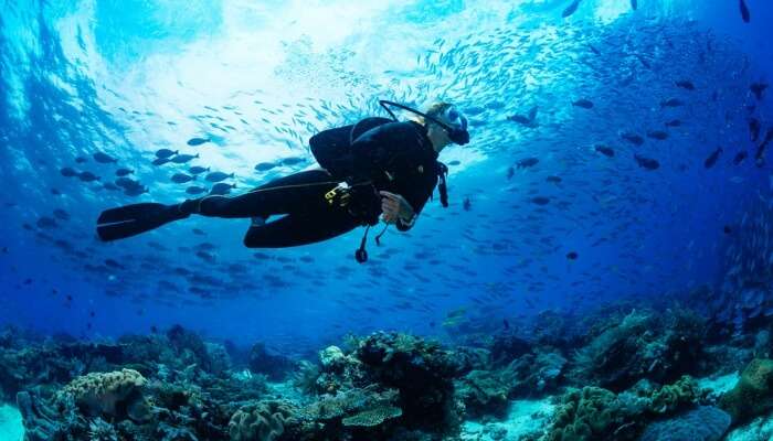 scuba diving tour sydney