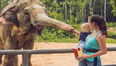 Most Famous Zoos In Bangkok