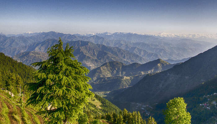 Dalhousie In Summer