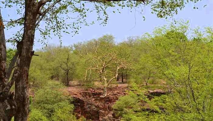 Darrah-Wildlife-Sanctuary1