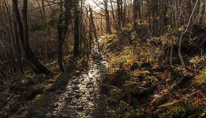 David Scott Trail