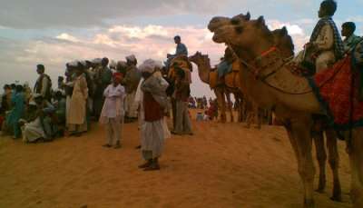 Desert Festival