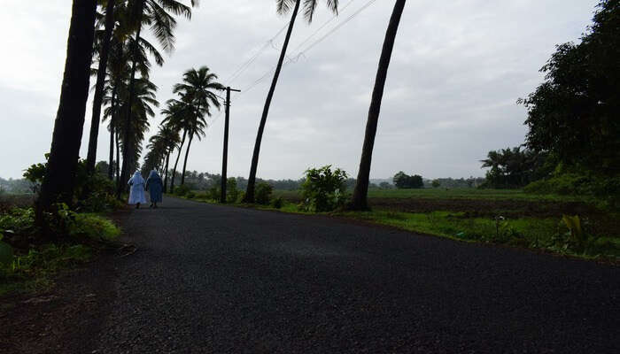 Flourishing Road Trip To Parra, Goa