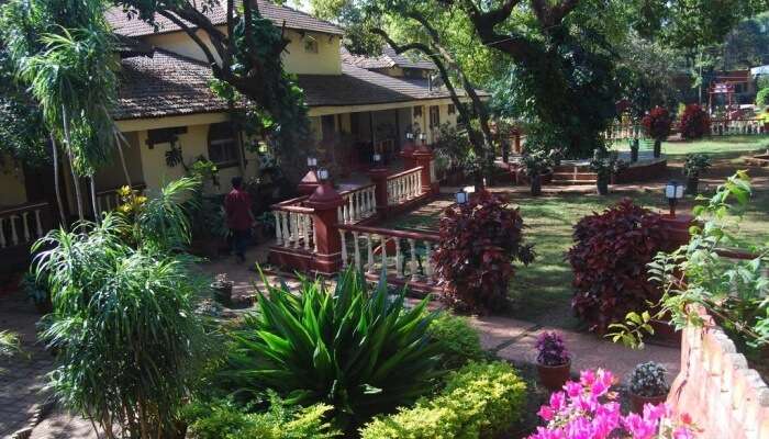 Lovely architecture resort, Mahabaleshwar