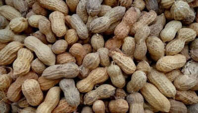 Groundnut Festival